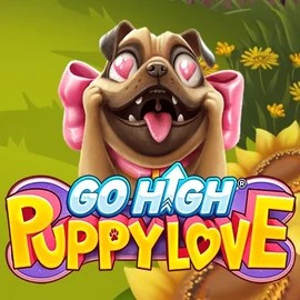 Go High Puppy Love game by RubyPlay – logo hosted on Winmasters Casino